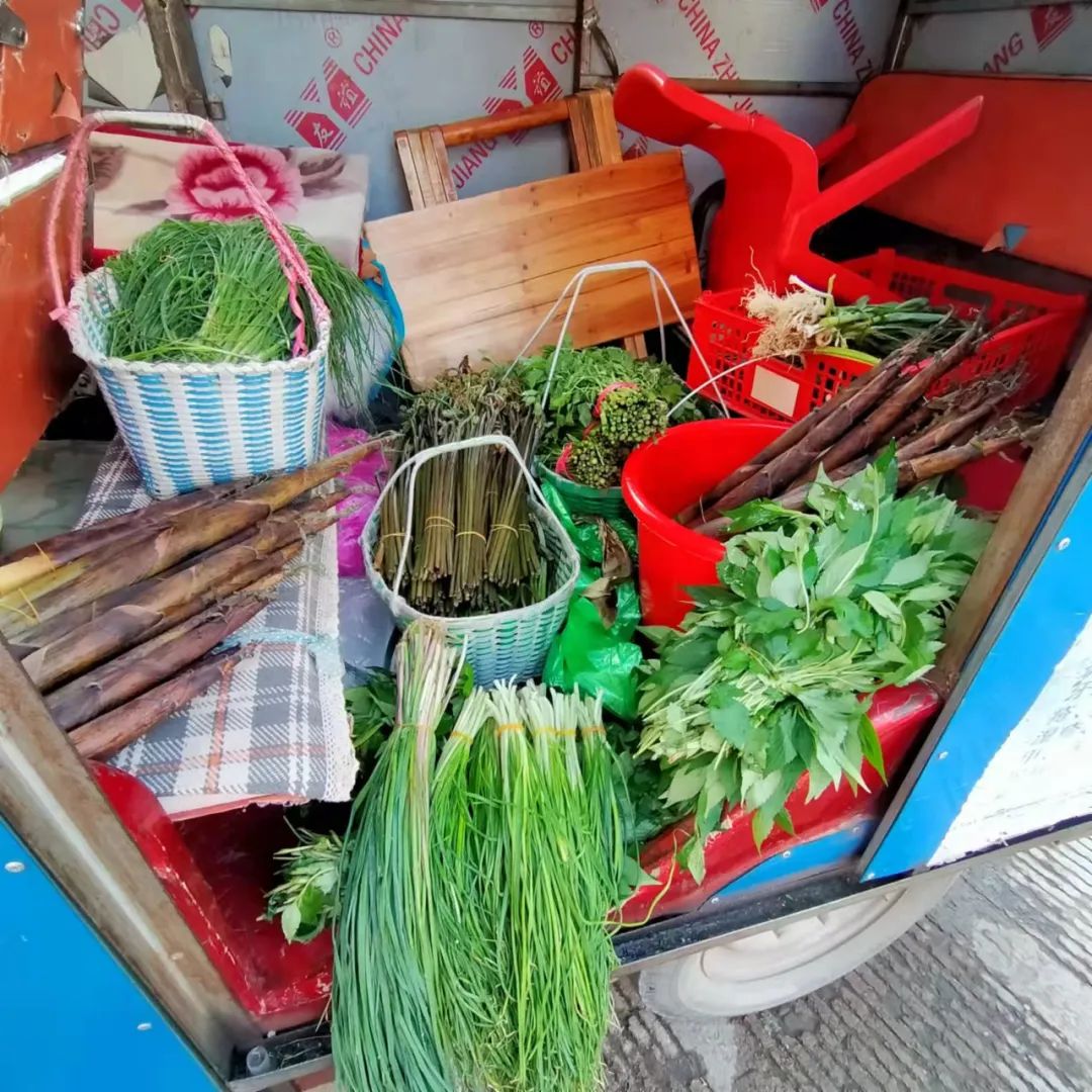 苗莲花代理商