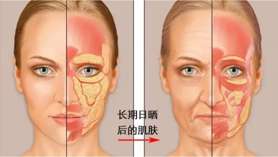 女人必知的3个抗衰重点，越早了解越好！