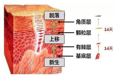 不是！冬天没有太阳斑怎么越来越多了？