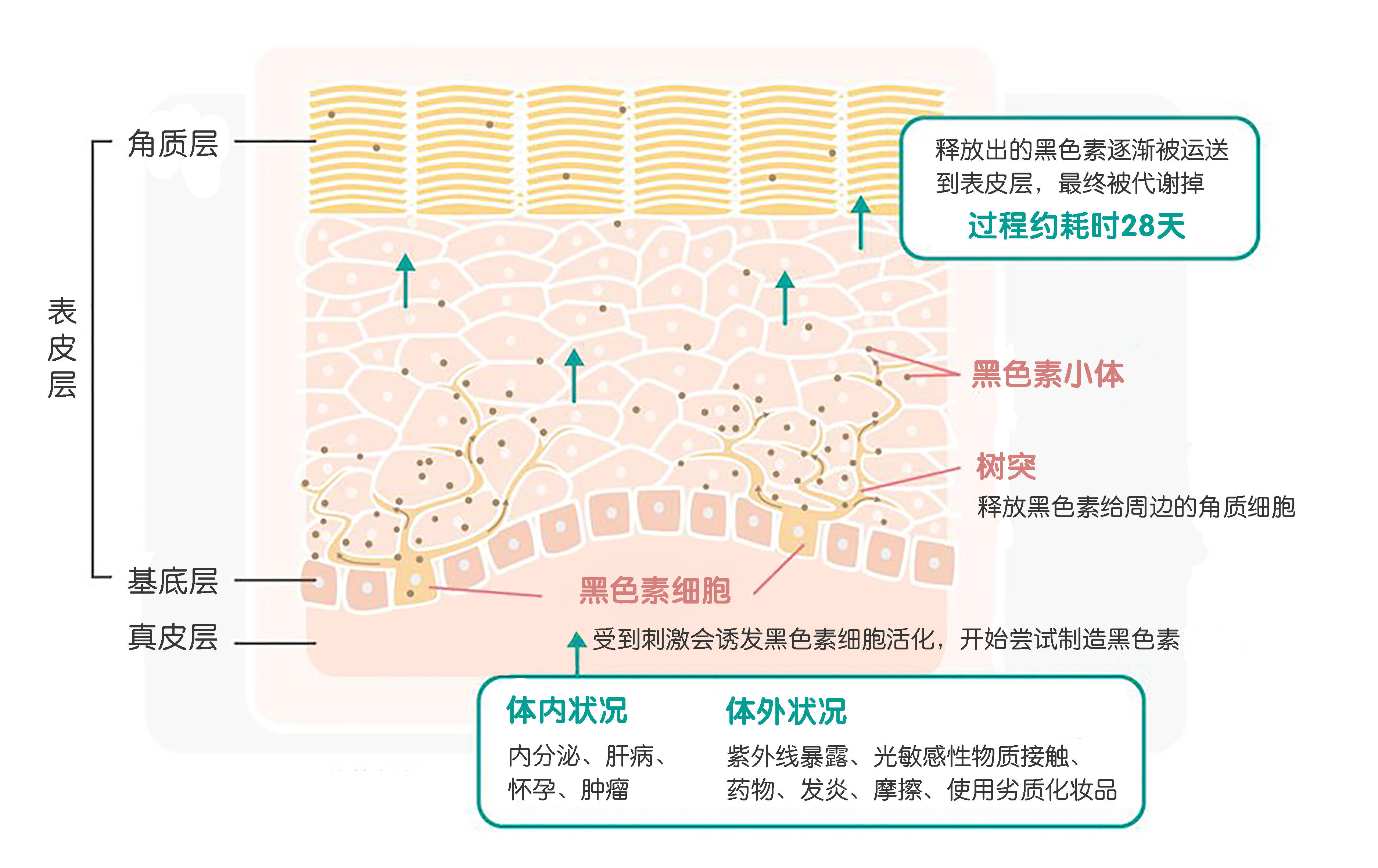 夏季护肤抓重点：修护+美白双buff，黄气暗沉全退散